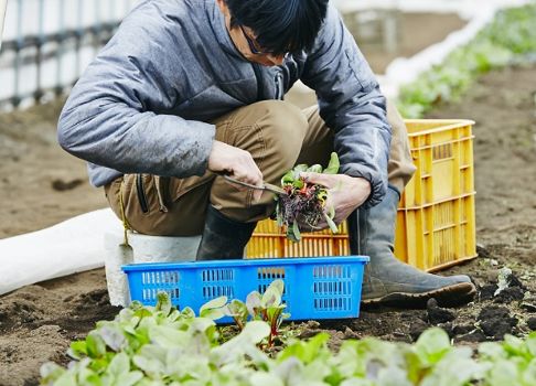 全国約4,000軒以上の生産者と契約する、オイシックスの自然の豊かさを守るための活動